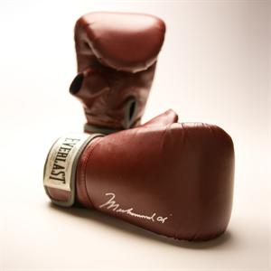 Ali Training Gloves